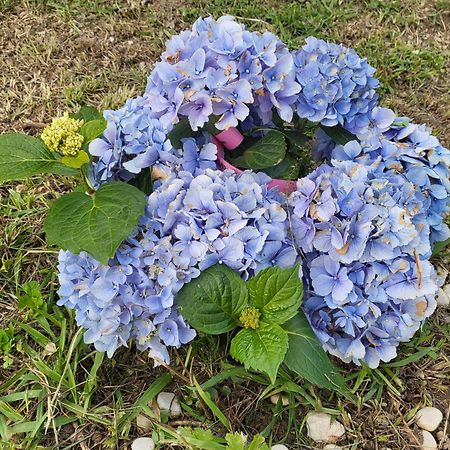 Villa Angel 라팔로 외부 사진