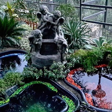 Villa Angel 라팔로 외부 사진